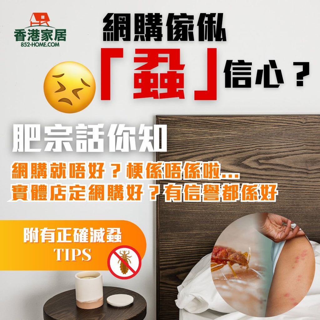 香港家居｜肥宗話你知｜傢俬｜網購傢俬「蝨」信心？　滅蟲專家指： 經常收到市民求助網購後出現木蝨