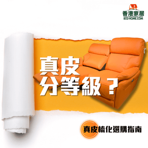香港家居 | 真皮分級拆解