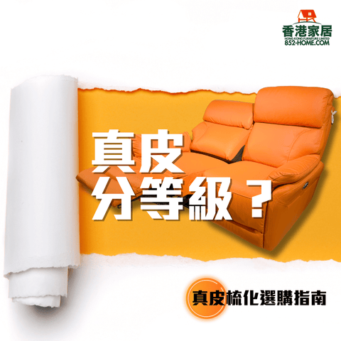 香港家居 | 真皮分級拆解